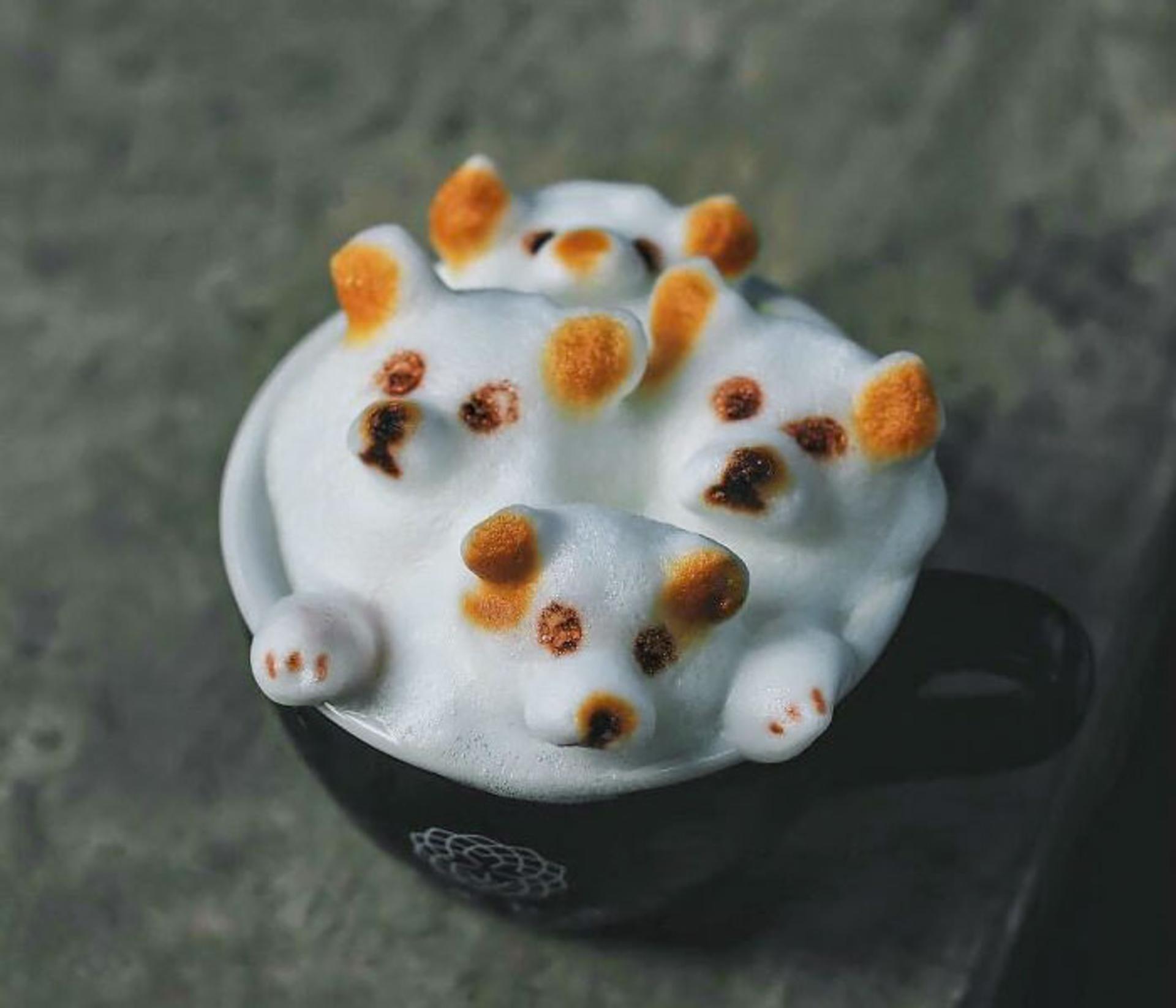 لاته آرت سگ سه بعدی