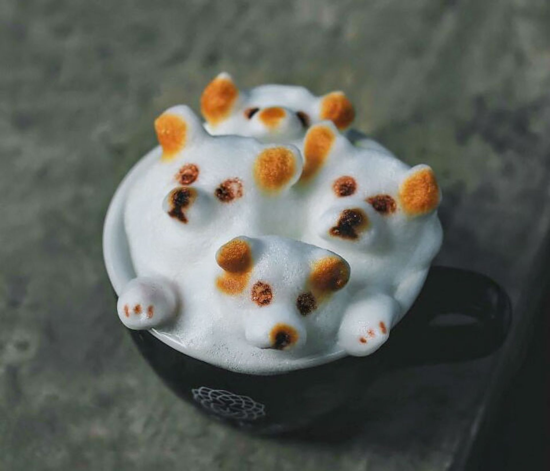 لاته آرت سگ سه بعدی