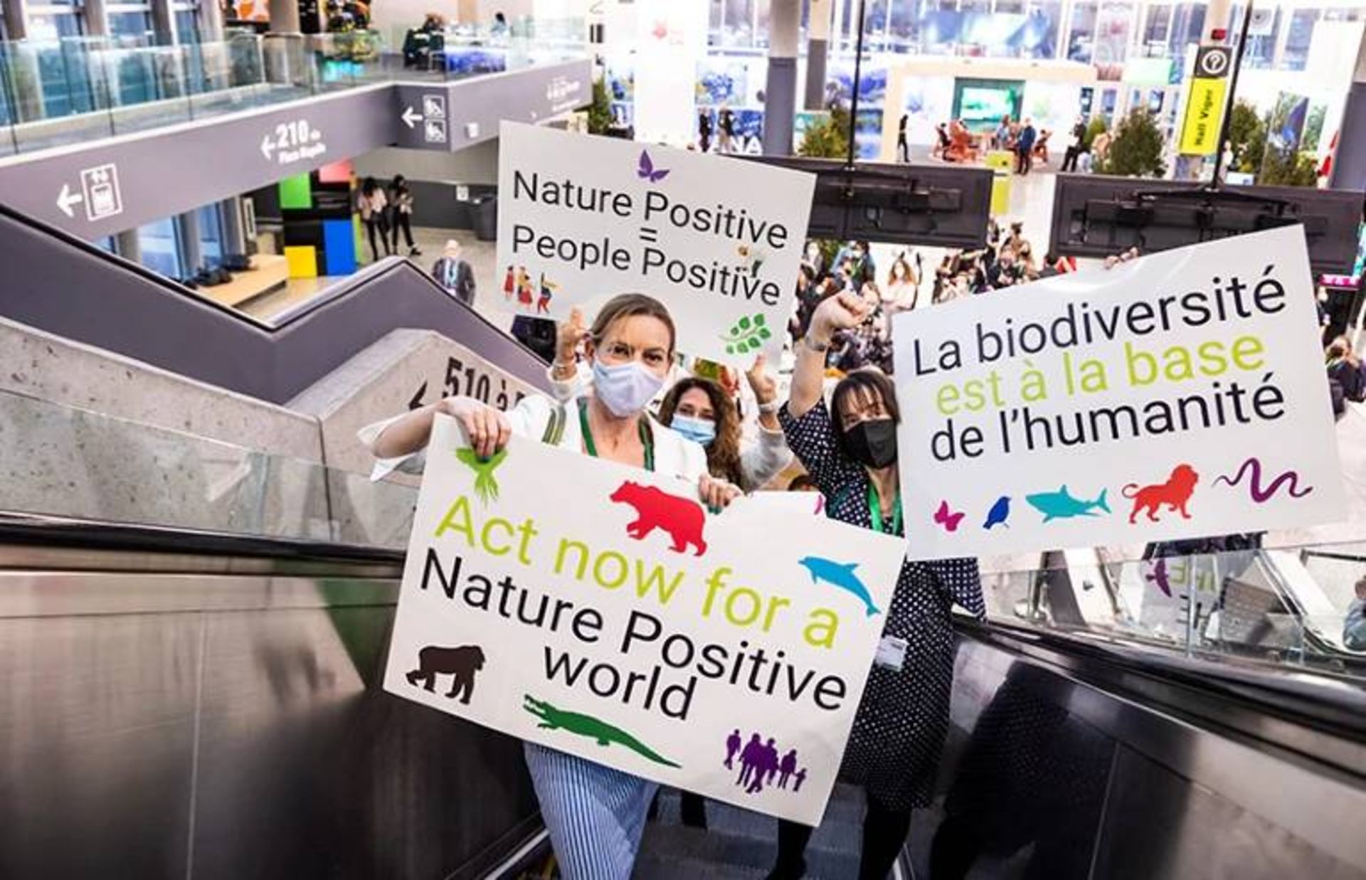 نمایندگان در COP15 