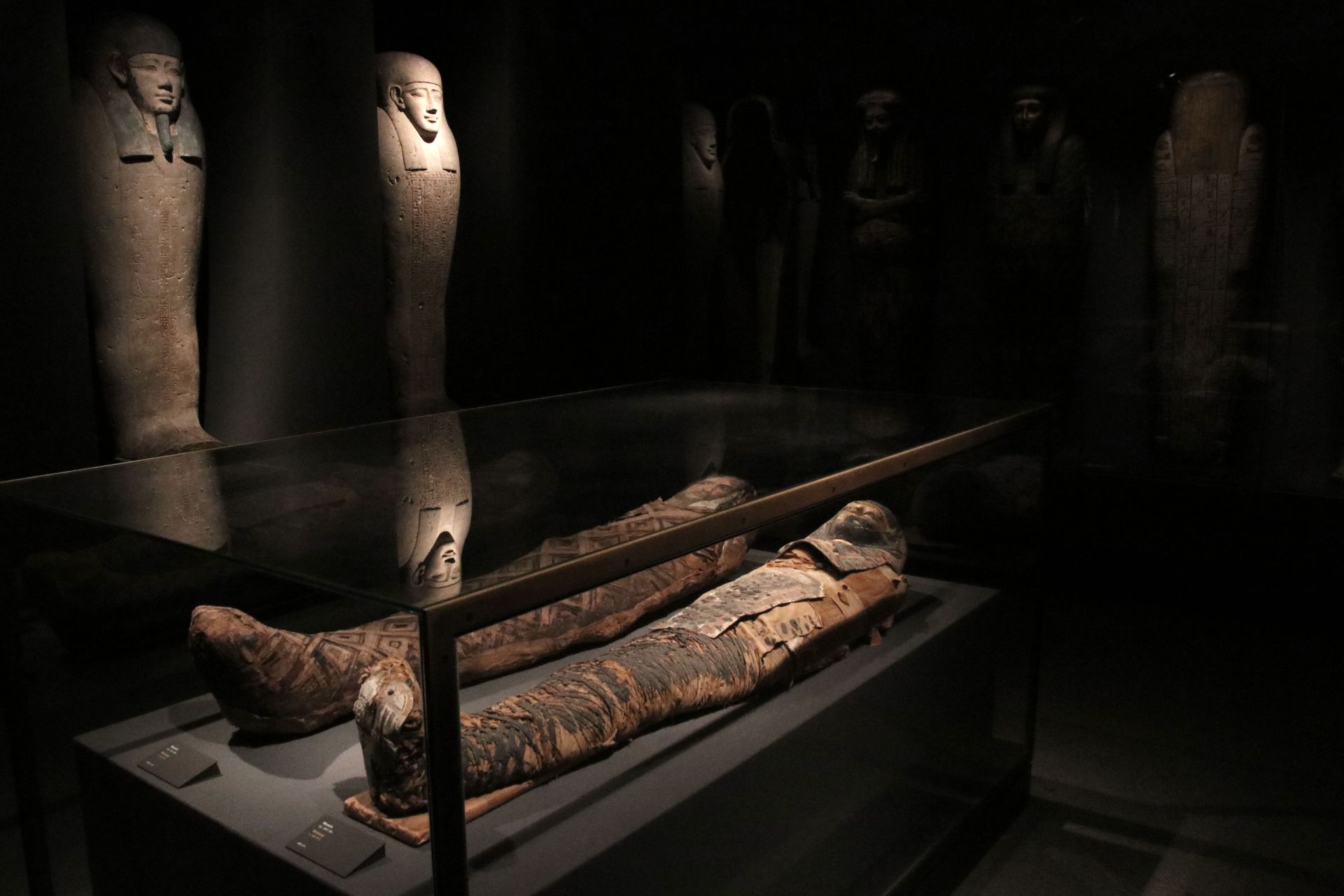 مومیایی مصر باستان در موزه در کپنهاگ