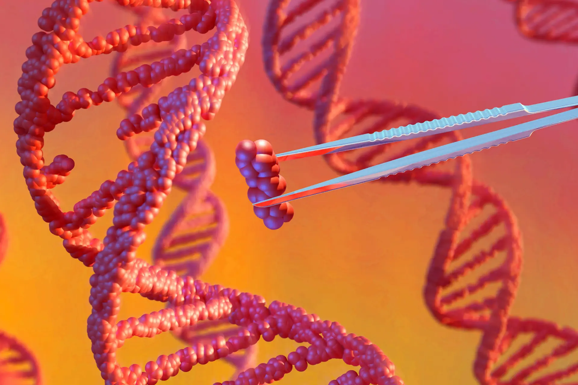 نمایی سه بعدی از رشته‌های مارپیچ DNA که یک ابزار جراحی ظریف در حال دستکاری بخش کوچکی از آن است.