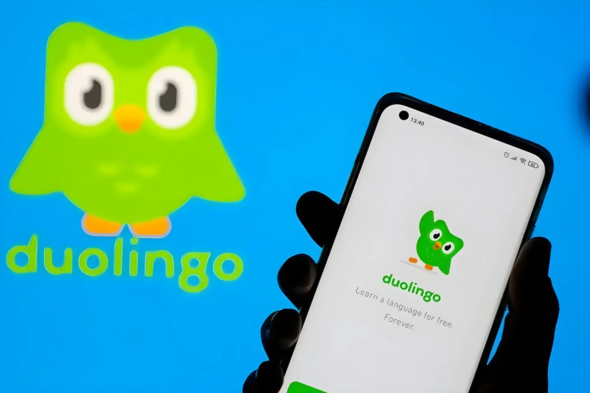 لوگوی سبز رنگ اپلیکیشن دولینگو (Duolingo) روی صفحه گوشی هوشمند
