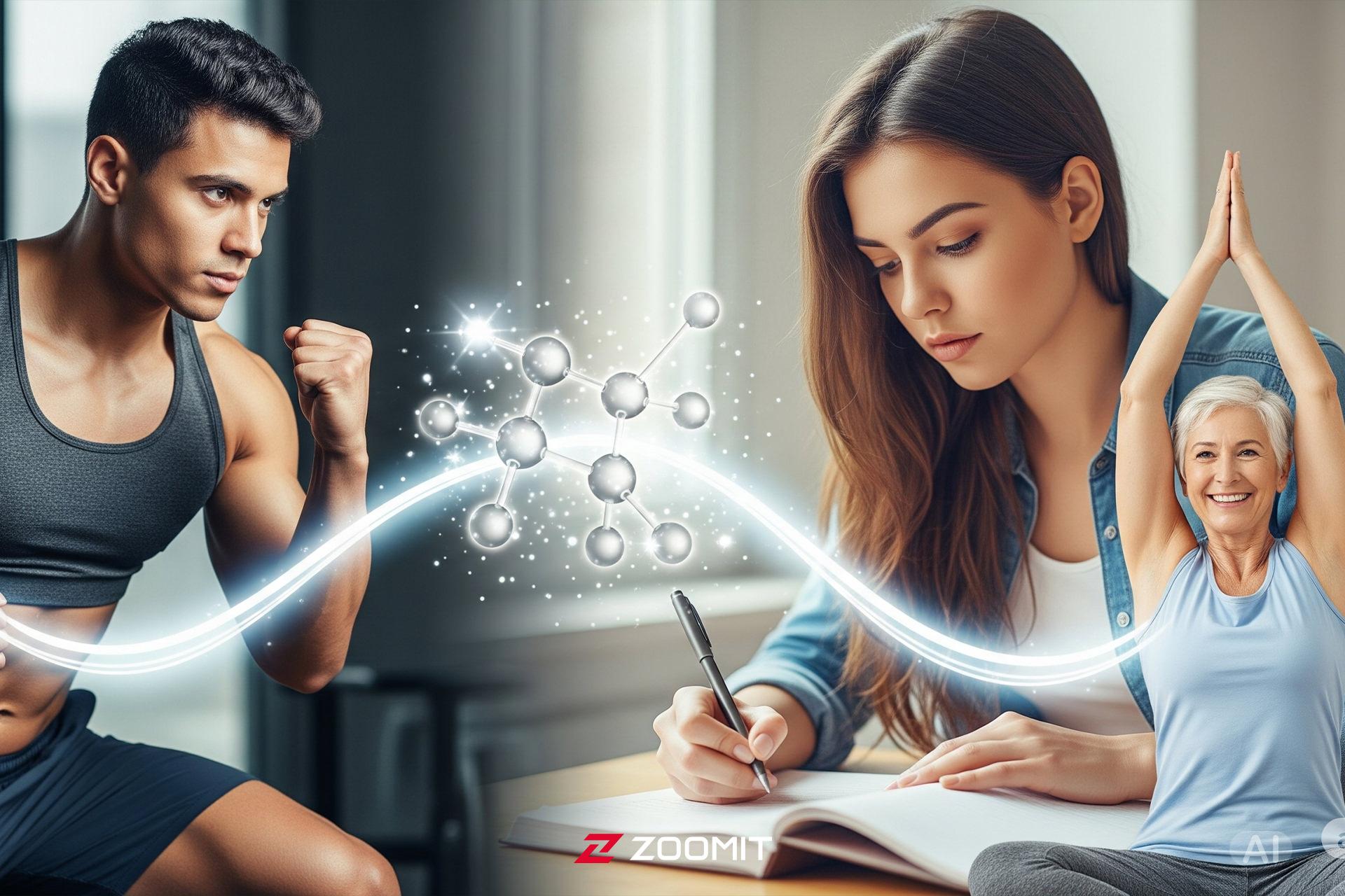 راز سلامتی در پیری: چرا همه باید کراتین مصرف کنند، حتی بدون ورزش؟