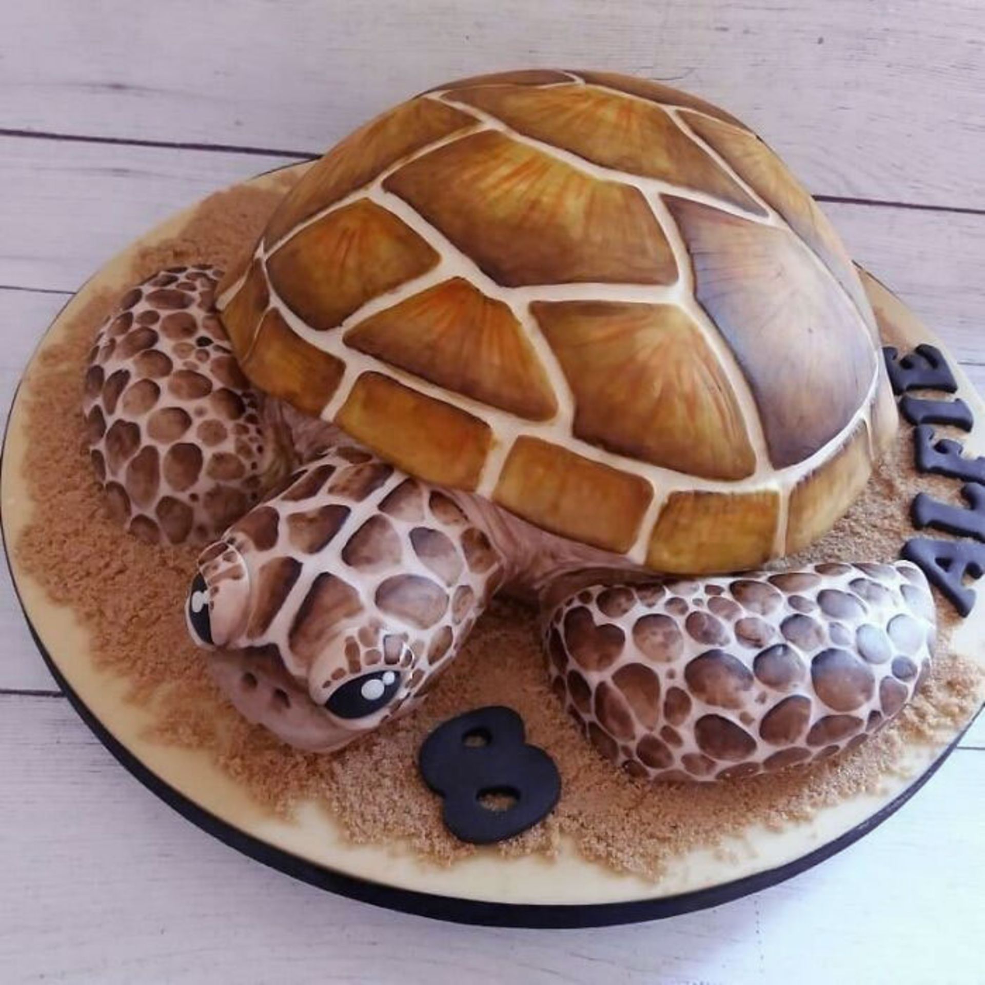 کیک لاکپشت 