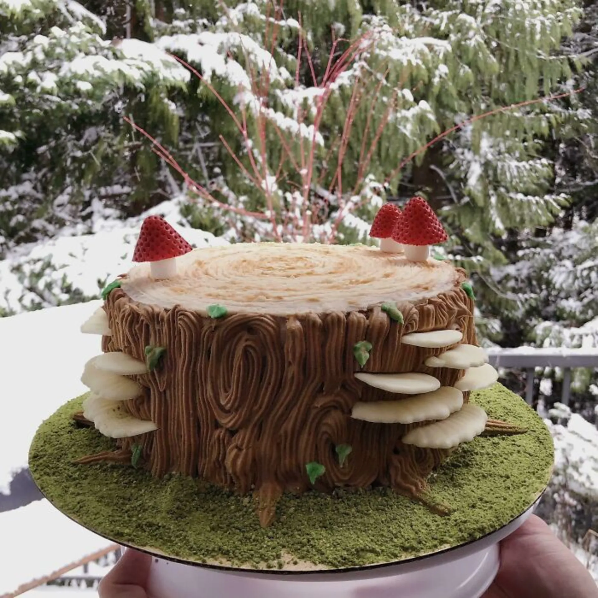 کیک کنده درخت قارچی