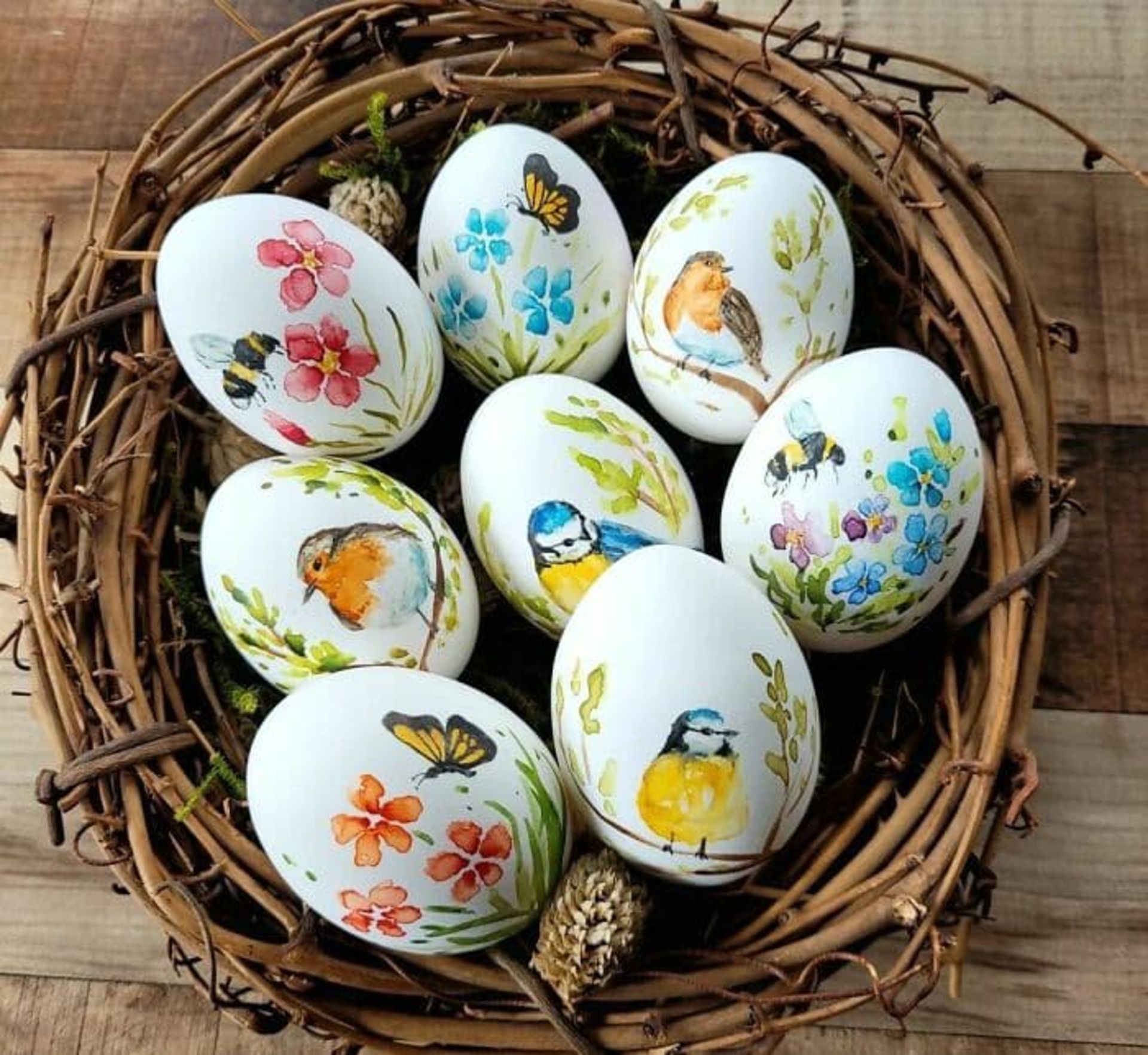 تخم‌مرغ رنگی داخل لانه کبوتر