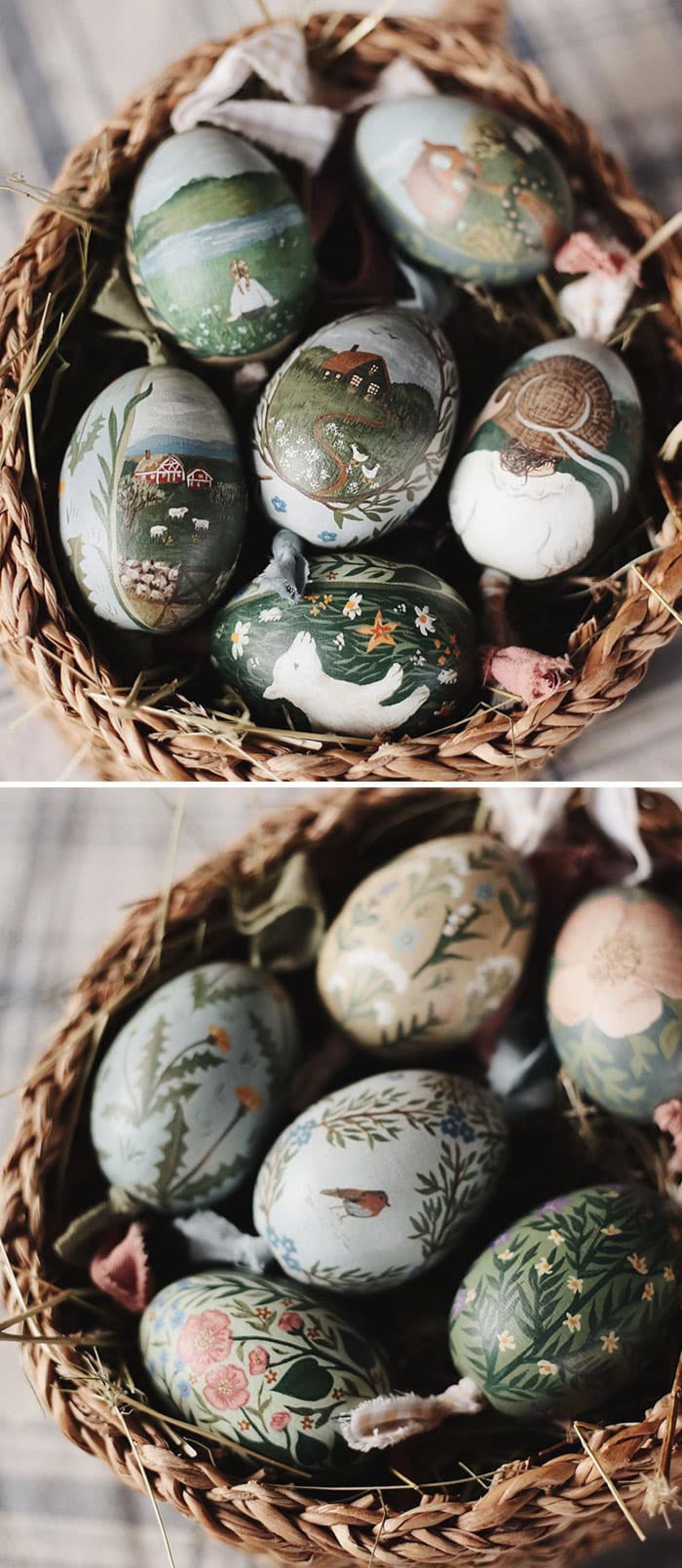 تخم‌مرغ رنگی داخل لانه کبوتر