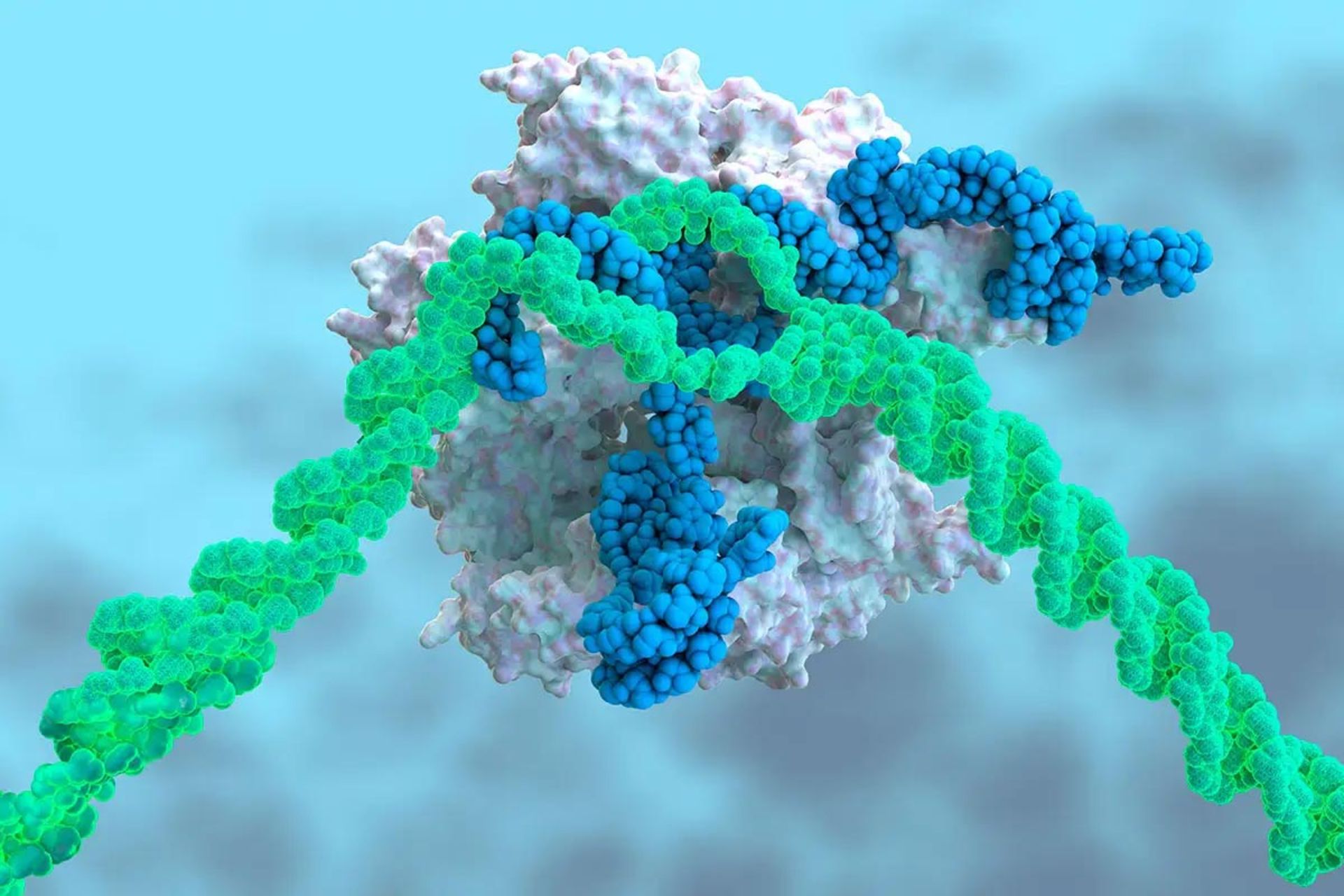 سیستم ویرایش ژن CRISPR/Cas9