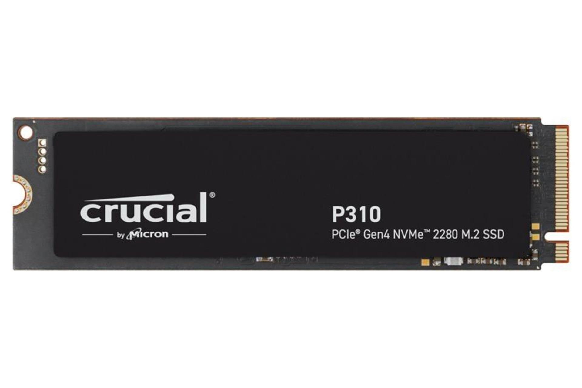 ابعاد و اندازه اس اس دی کروشیال P310 NVMe M.2 ظرفیت 1 ترابایت