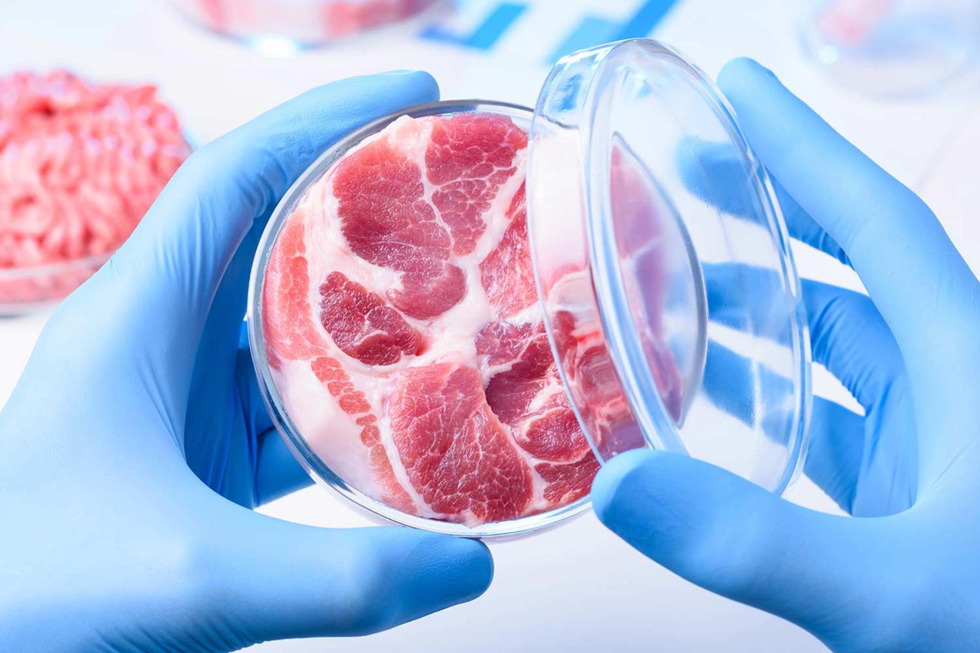 گوشت کشت‌شده در آزمایشگاه در پتری دیش