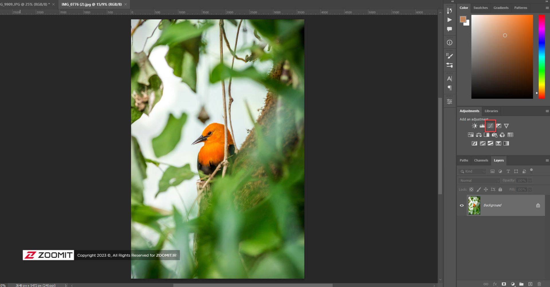 تنظیم نور در فتوشاپ