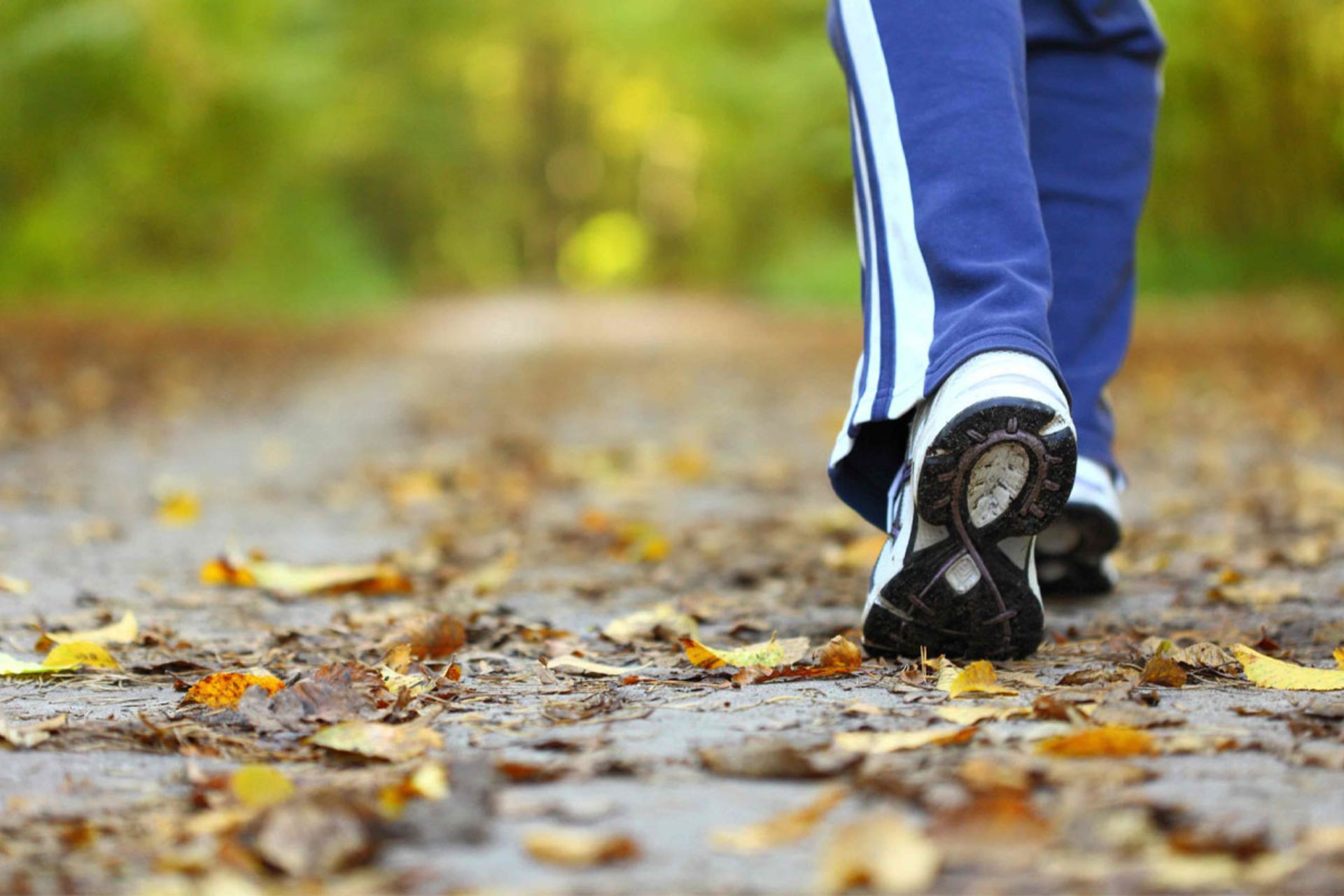 پیاده روی روزانه