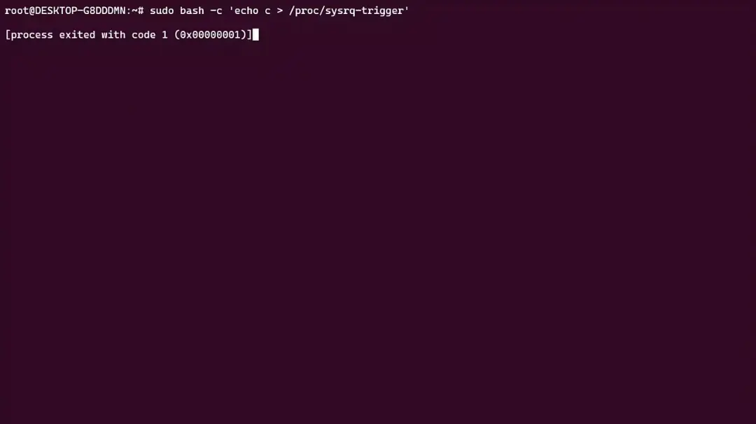 اجرای دستور sudo bash در محیط ترمینال لینوکس (Linux) با خطای خروج