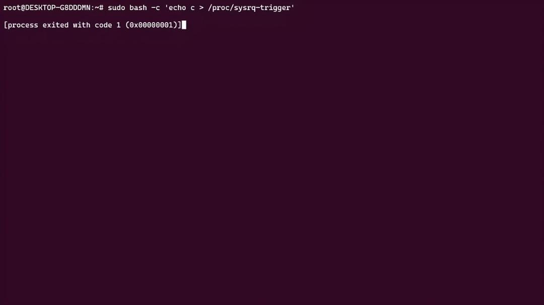 اجرای دستور sudo bash در محیط ترمینال لینوکس (Linux) با خطای خروج