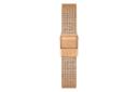 پشت ساعت مچی زنانه دنیل ولینگتون Daniel Wellington DW00100437