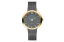ساعت مچی زنانه دنیش دیزاین Danish Design Funen IV70Q1194