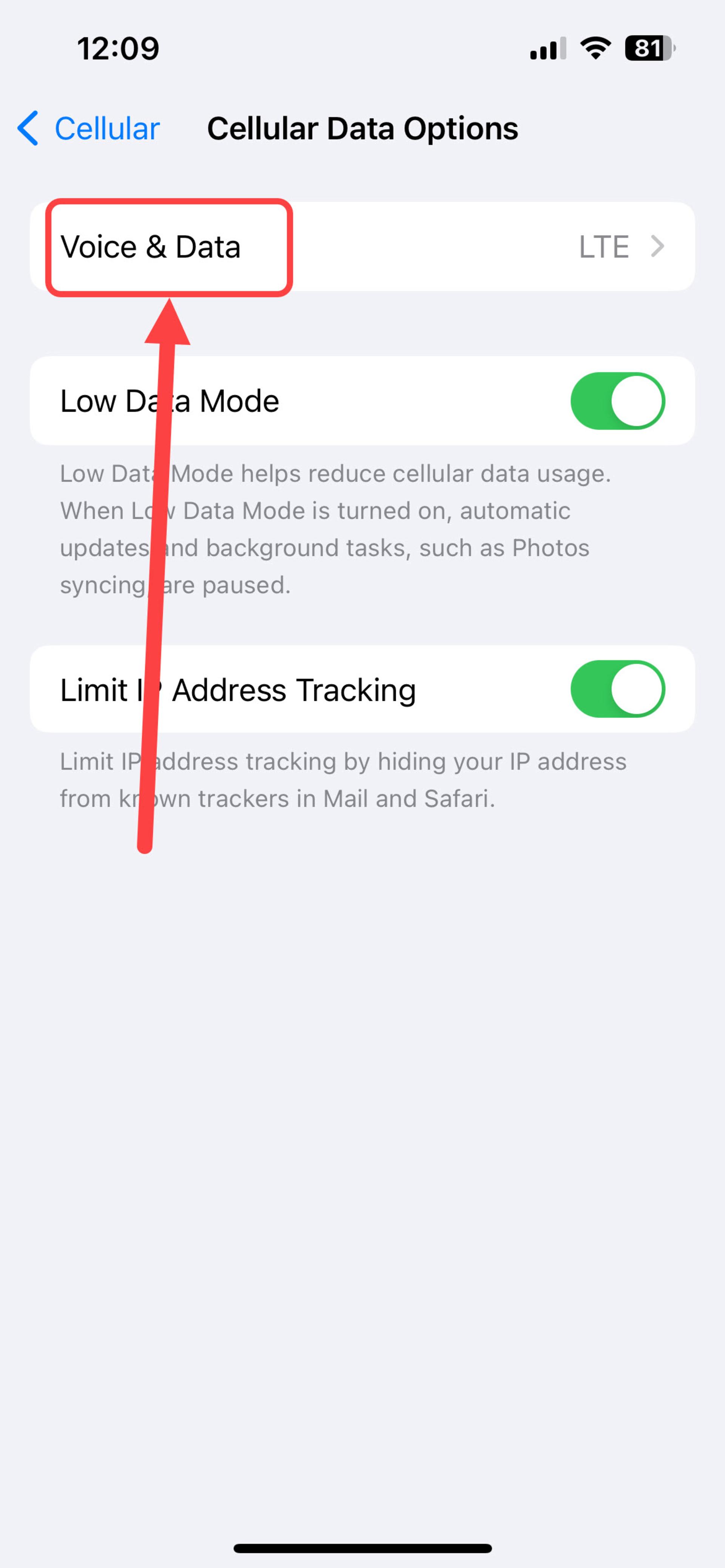 تنظیمات Voice & Data گوشی آیفون