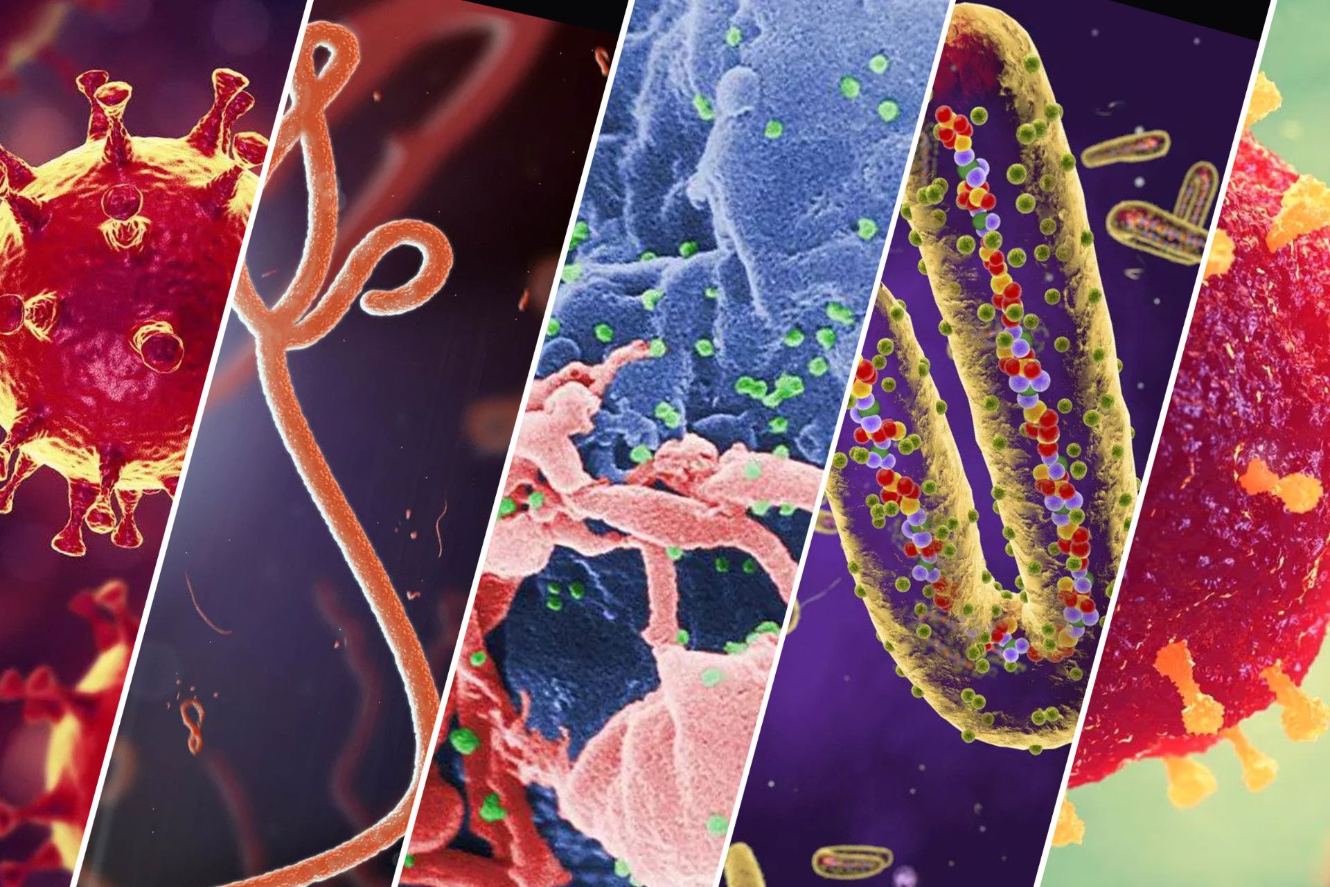مرگبارترین ویروس های جهان