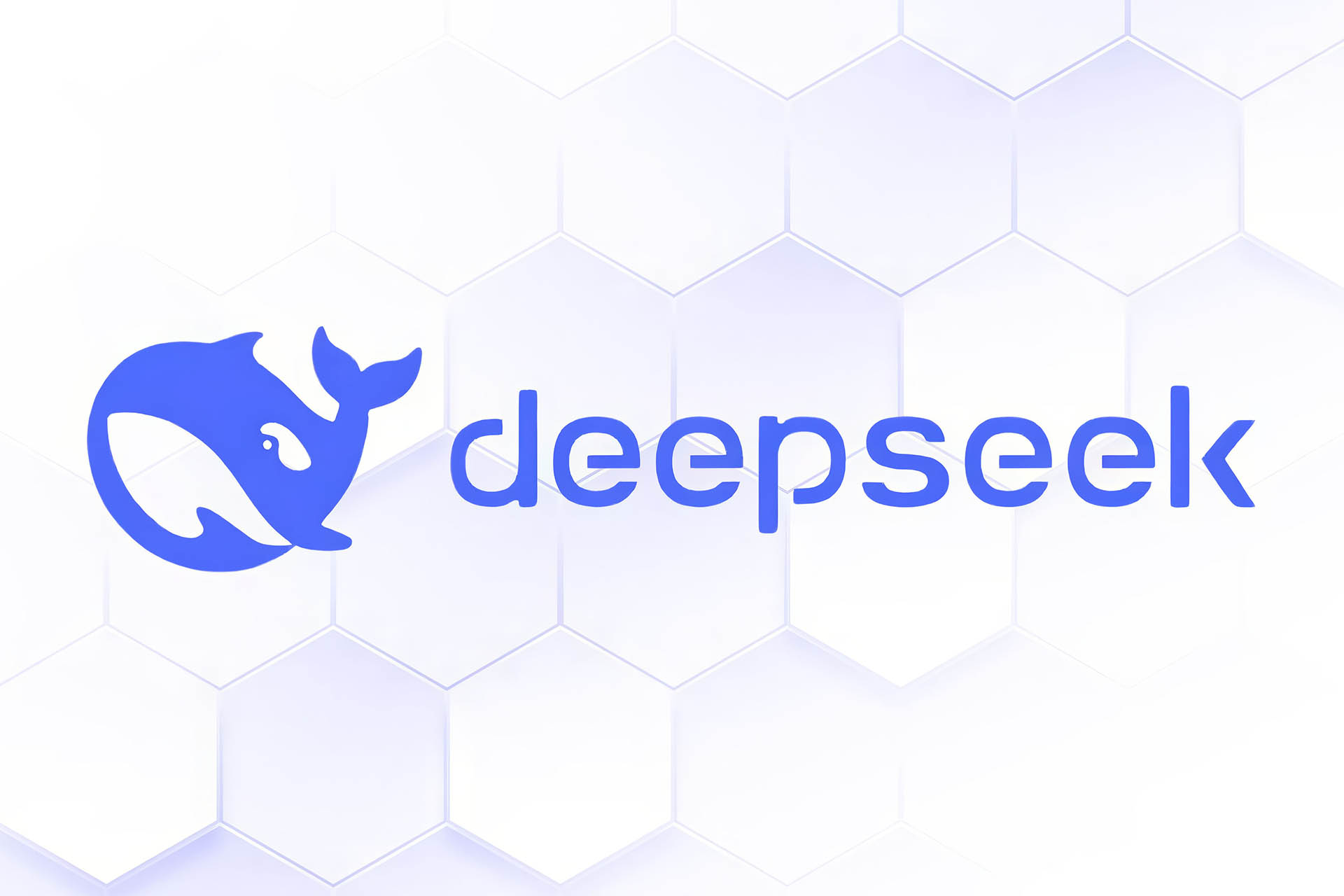 deepseek-ai-1-6785180899210c819acd46f0