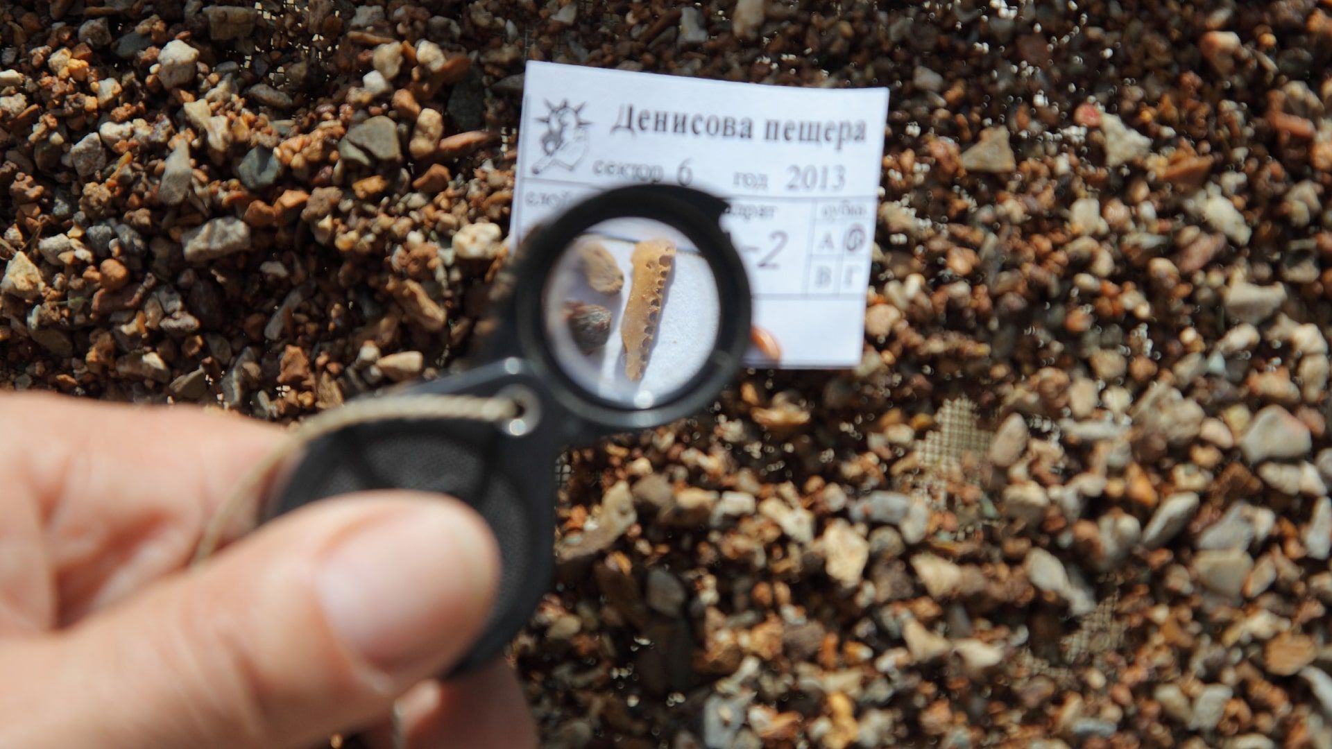 استخوان های دنیسووا کشف شده در غار دنیسووا در سیبری
