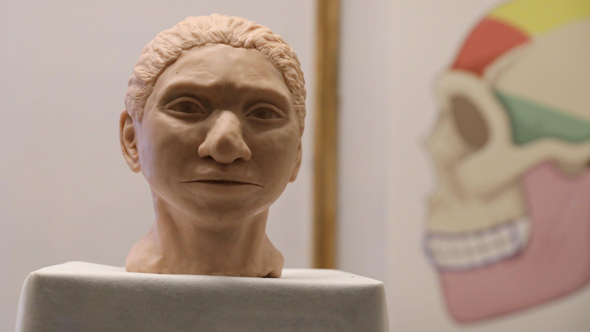 The sculpture of the head and face of a 13-year-old girl from the Denisova prehistoric anthropoid species