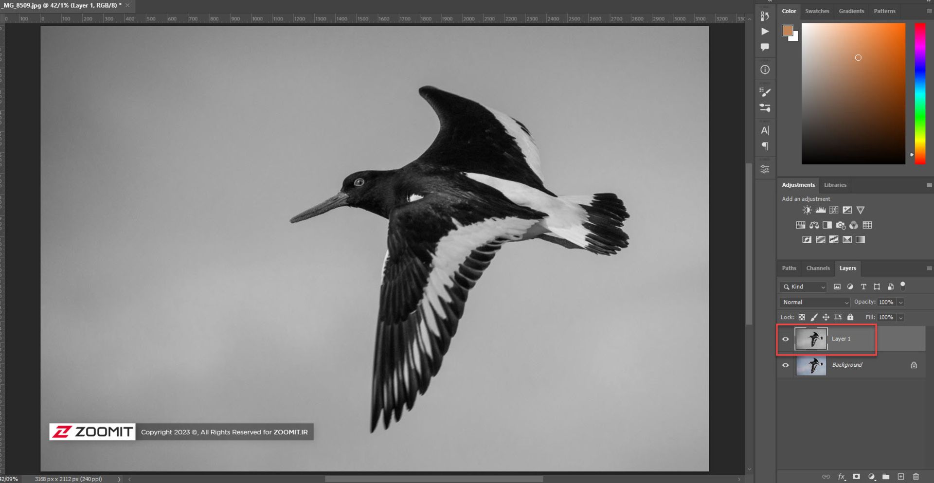 تصویر سیاه و سفید در فتوشاپ