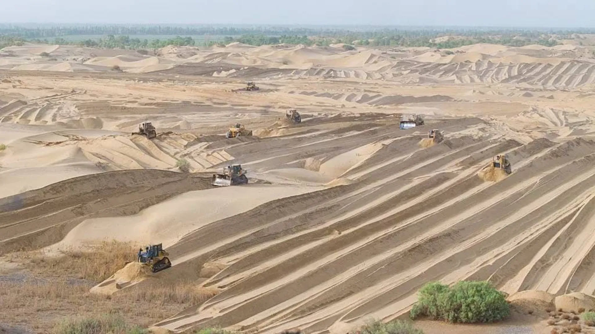 درختکاری در بیابان تکله‌مکان