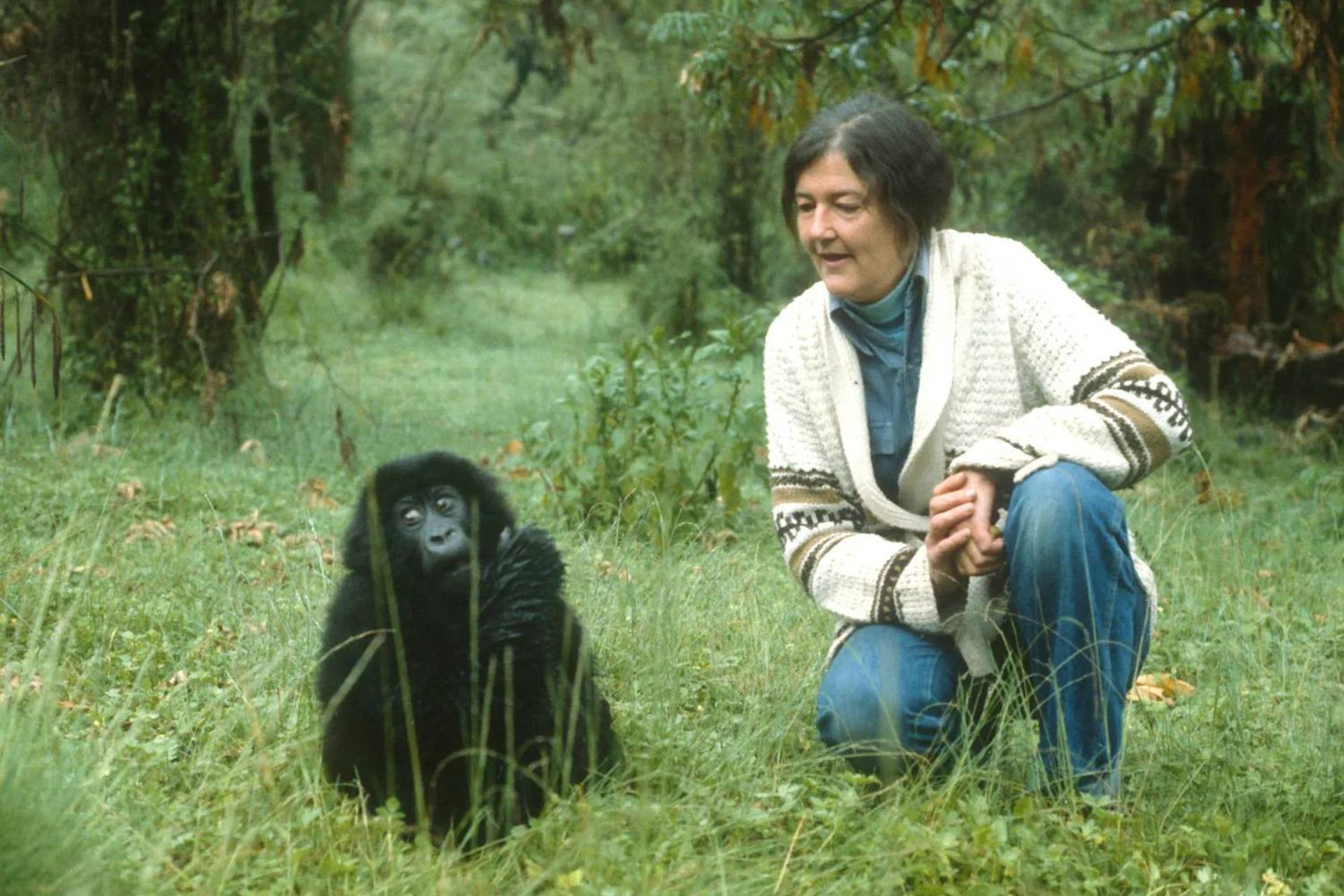 دایان فوسی جانورشناس