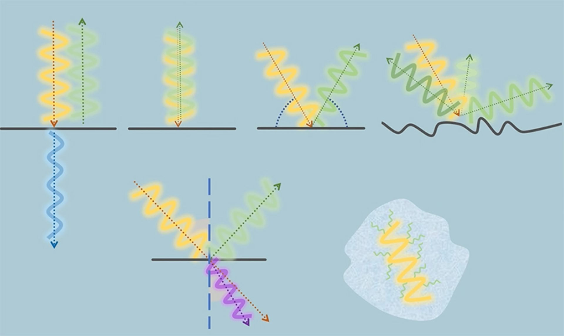 Types of interaction of ultrasound waves with tissue