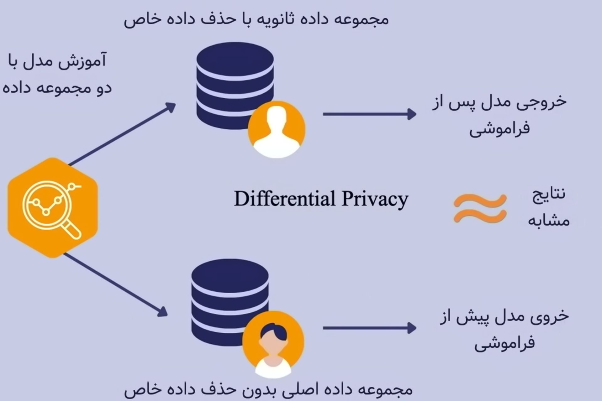 فراموشی ماشین با حریم خصوصی تفاضلی