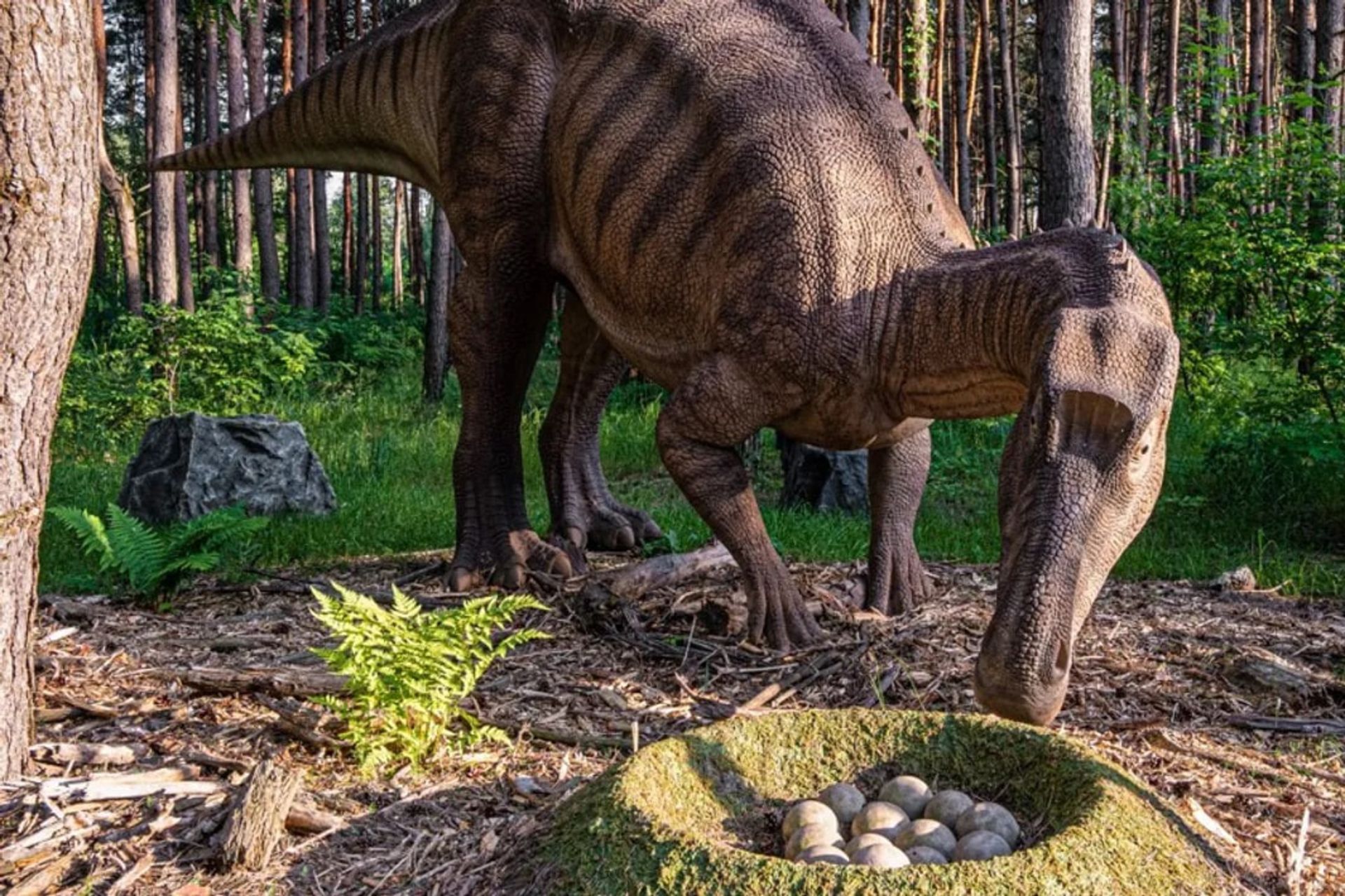 دایناسور در کنار تخم‌هایش ایستاده است