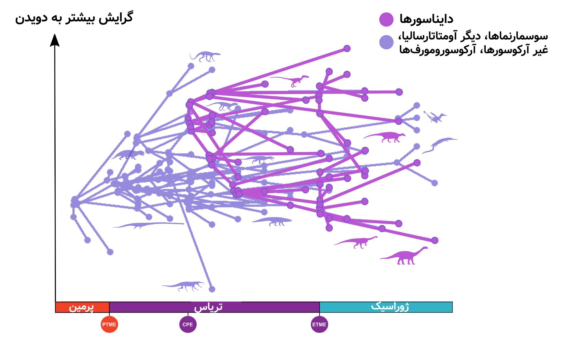 تکامل استخوان ران دایناسورها