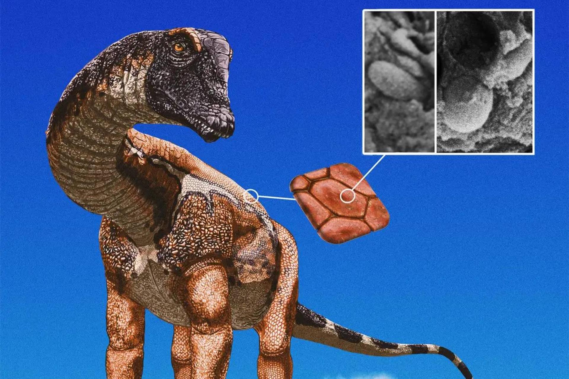 تصویرسازی از دایناسور ساروپود