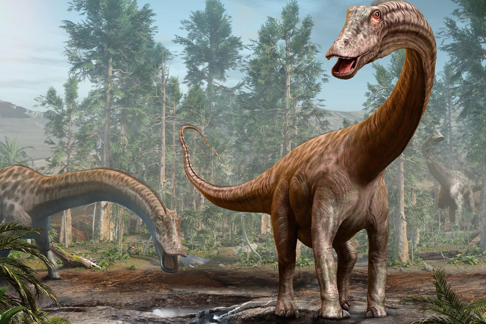 دو دایناسور دیپلودوکوس (Diplodocus) در میان درختان انبوه یک جنگل باستانی
