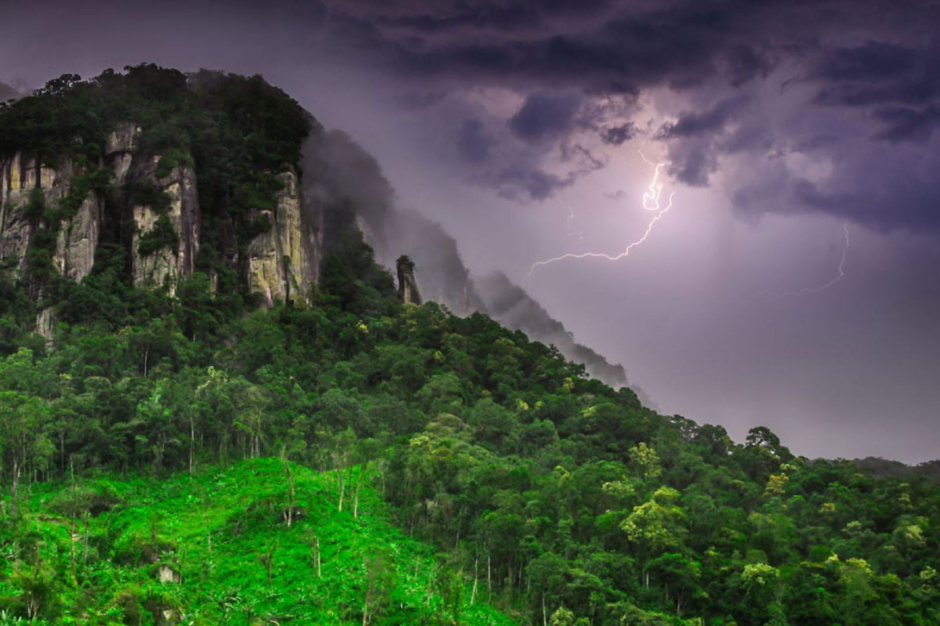 پوشش زیست‌توده درختی در جنگل در دشت پاناما زیر صاعقه