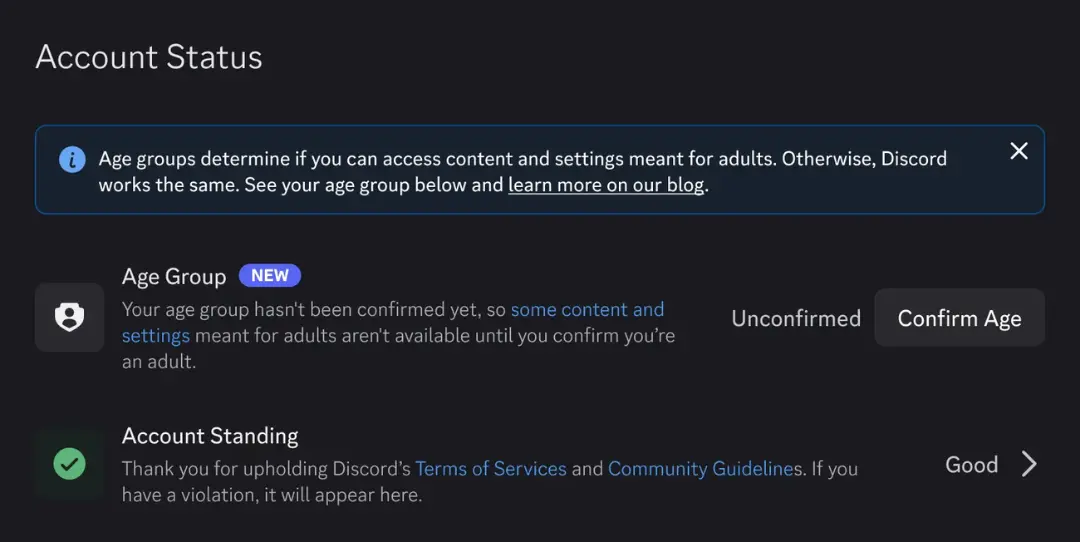 بخش وضعیت حساب کاربری (Account Status) در محیط برنامه دیسکورد (Discord)