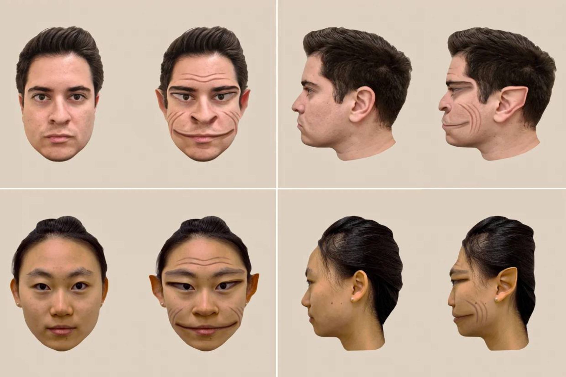 چهره تحریف شده