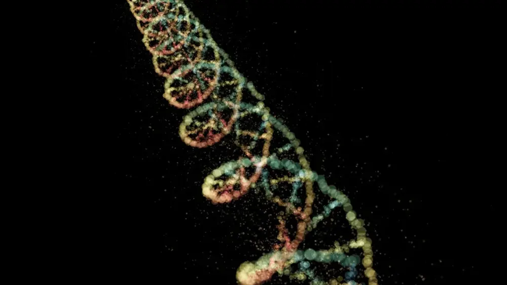 ساختار dna