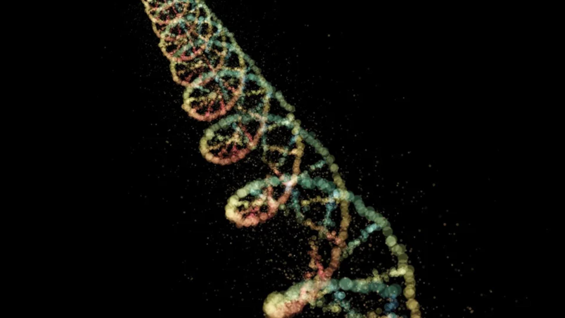 ساختار dna