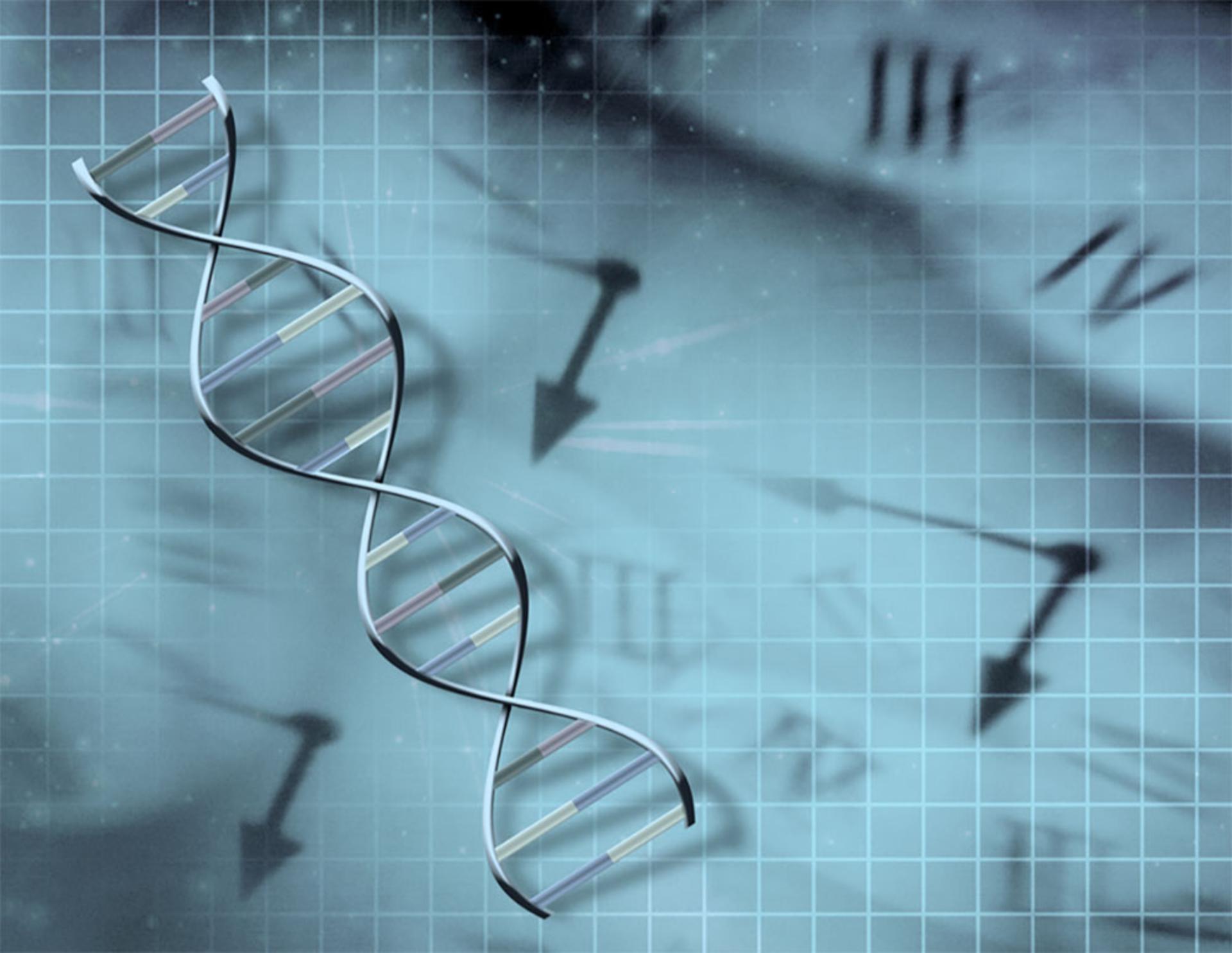 ساعت dna