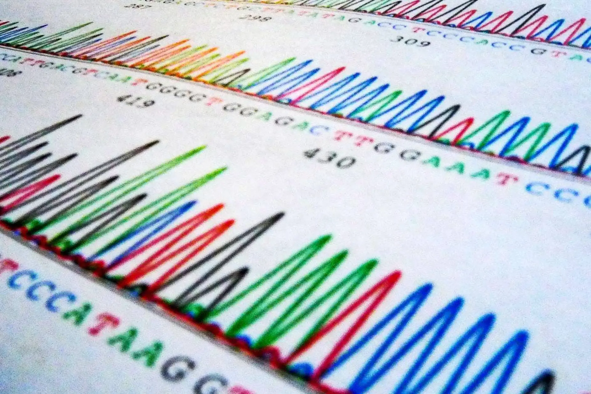 بخشی از توالی DNA