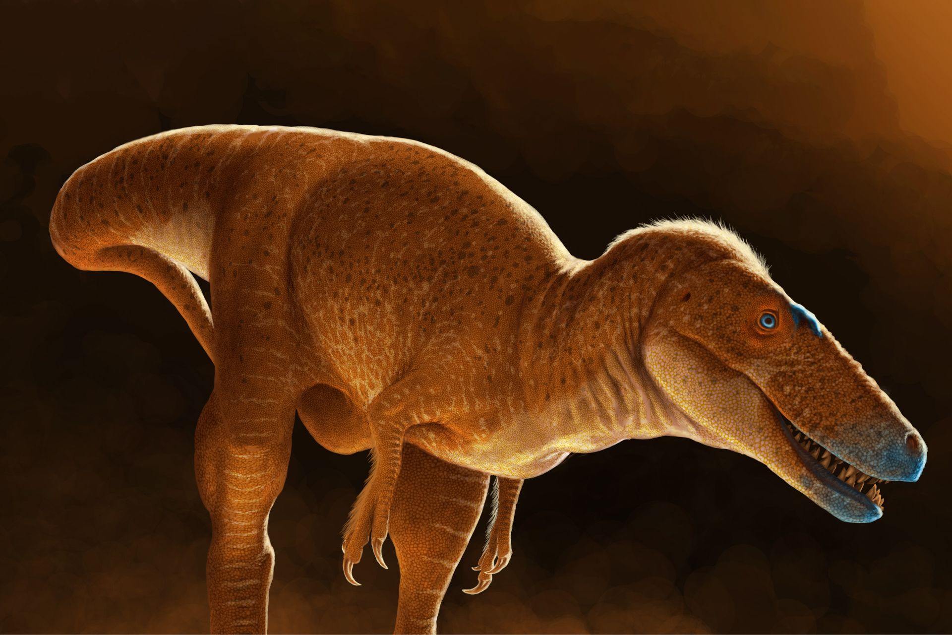 شاهزاده اژدها، اجداد تی‌رکس