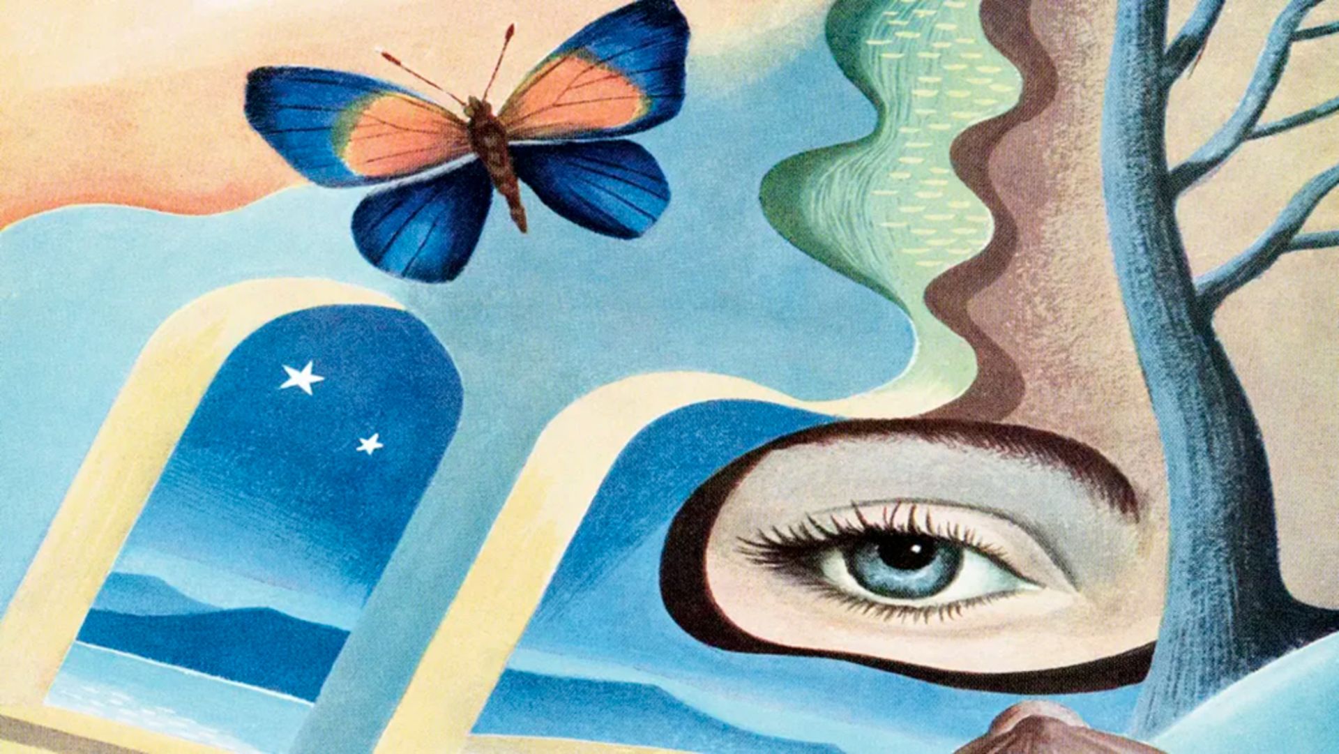 رویا و خواب