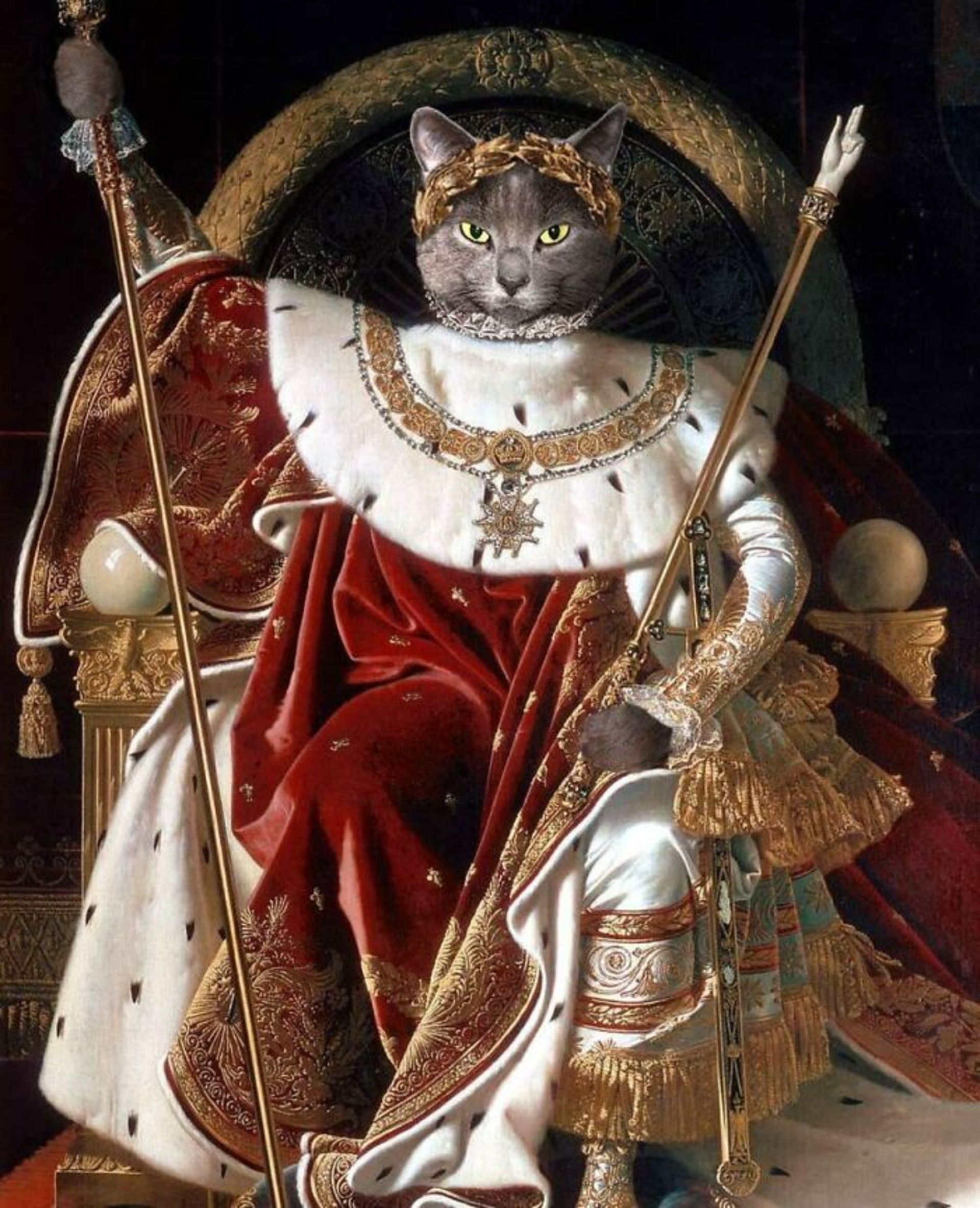 گربه در لباس سلطنتی