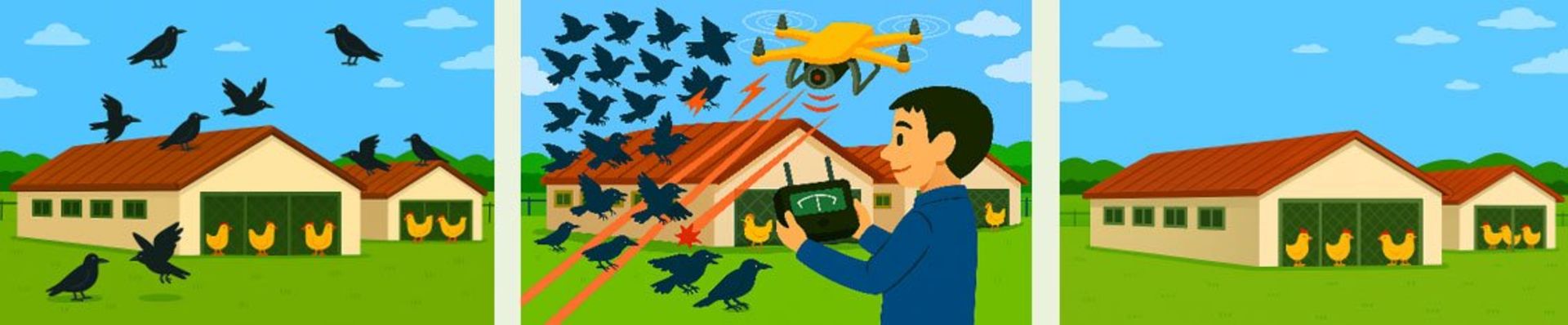 سیستم لیزری NTT برای مرغداری