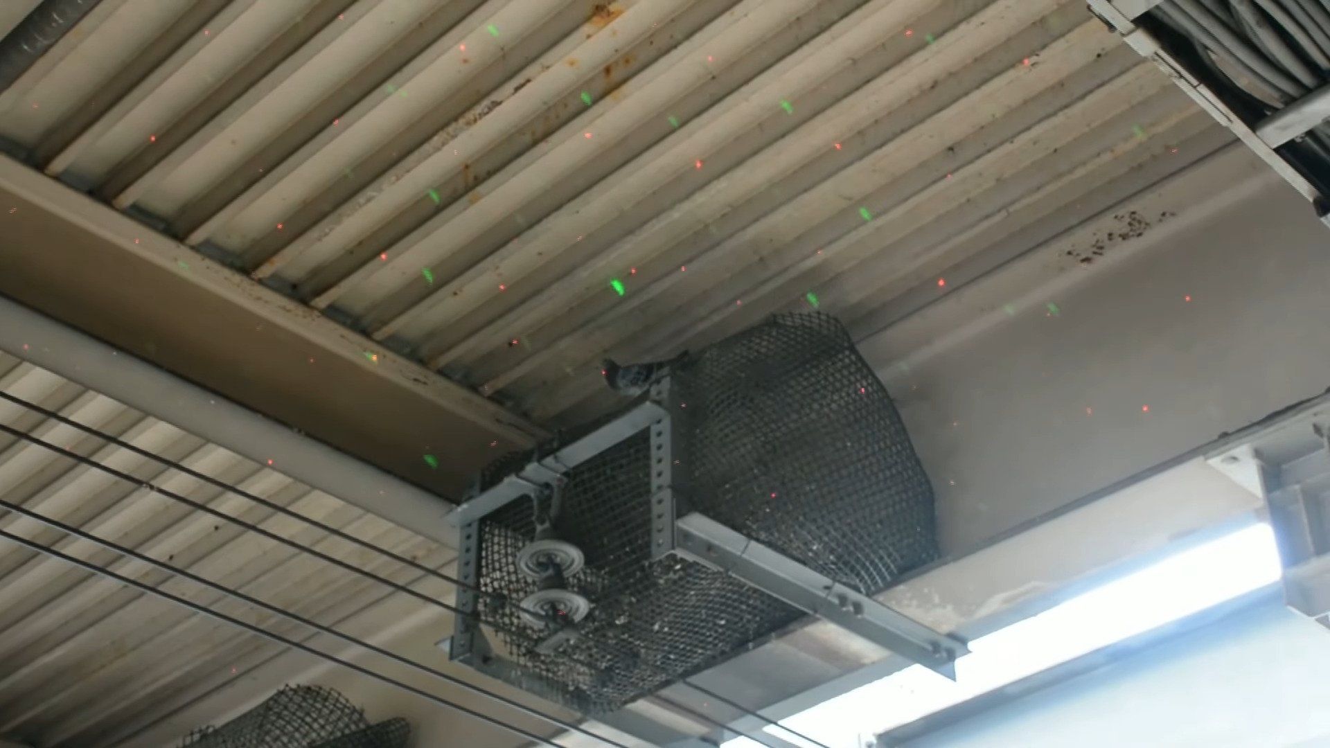 سیستم لیزری NTT برای مرغداری