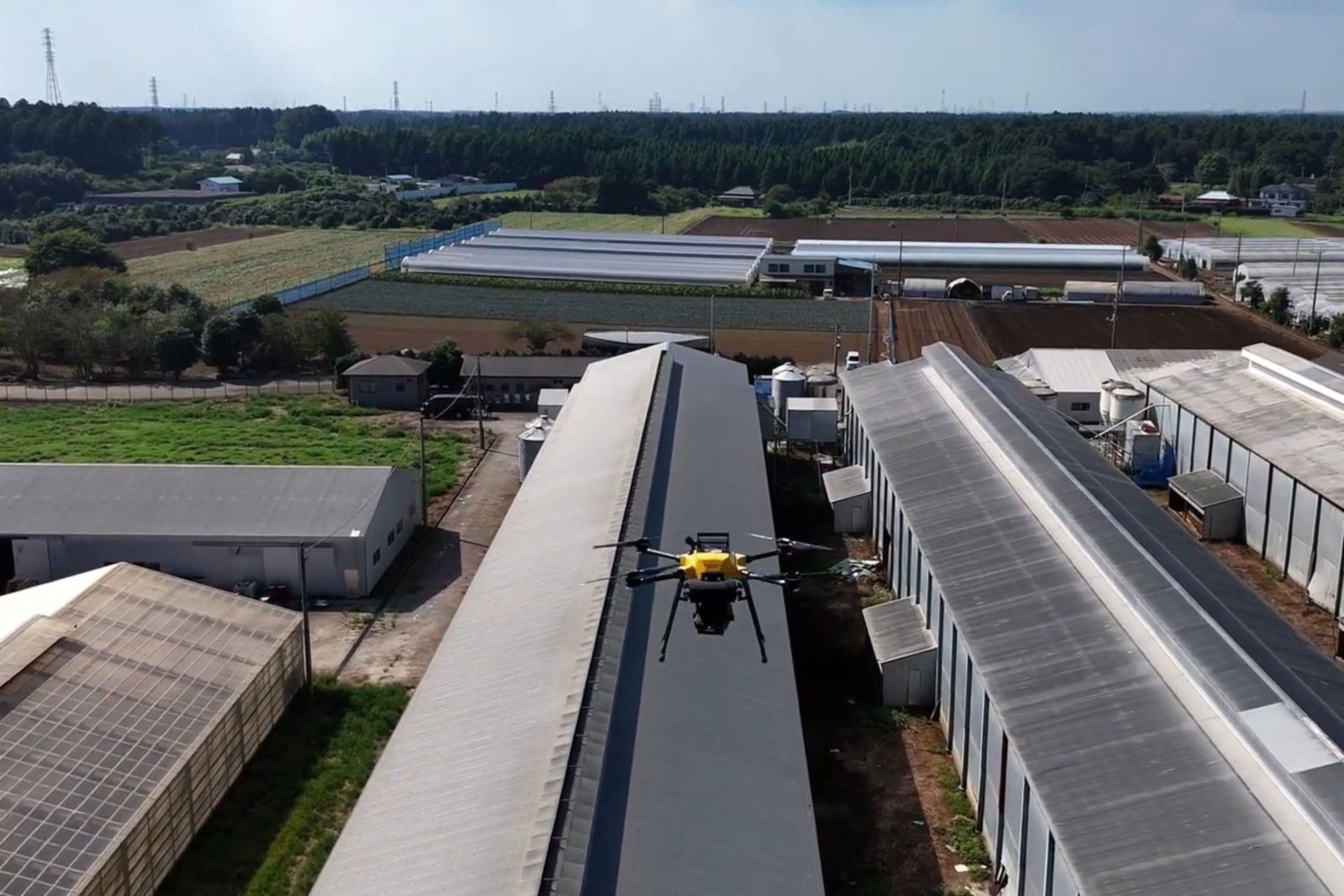 سیستم لیزری NTT برای مرغداری