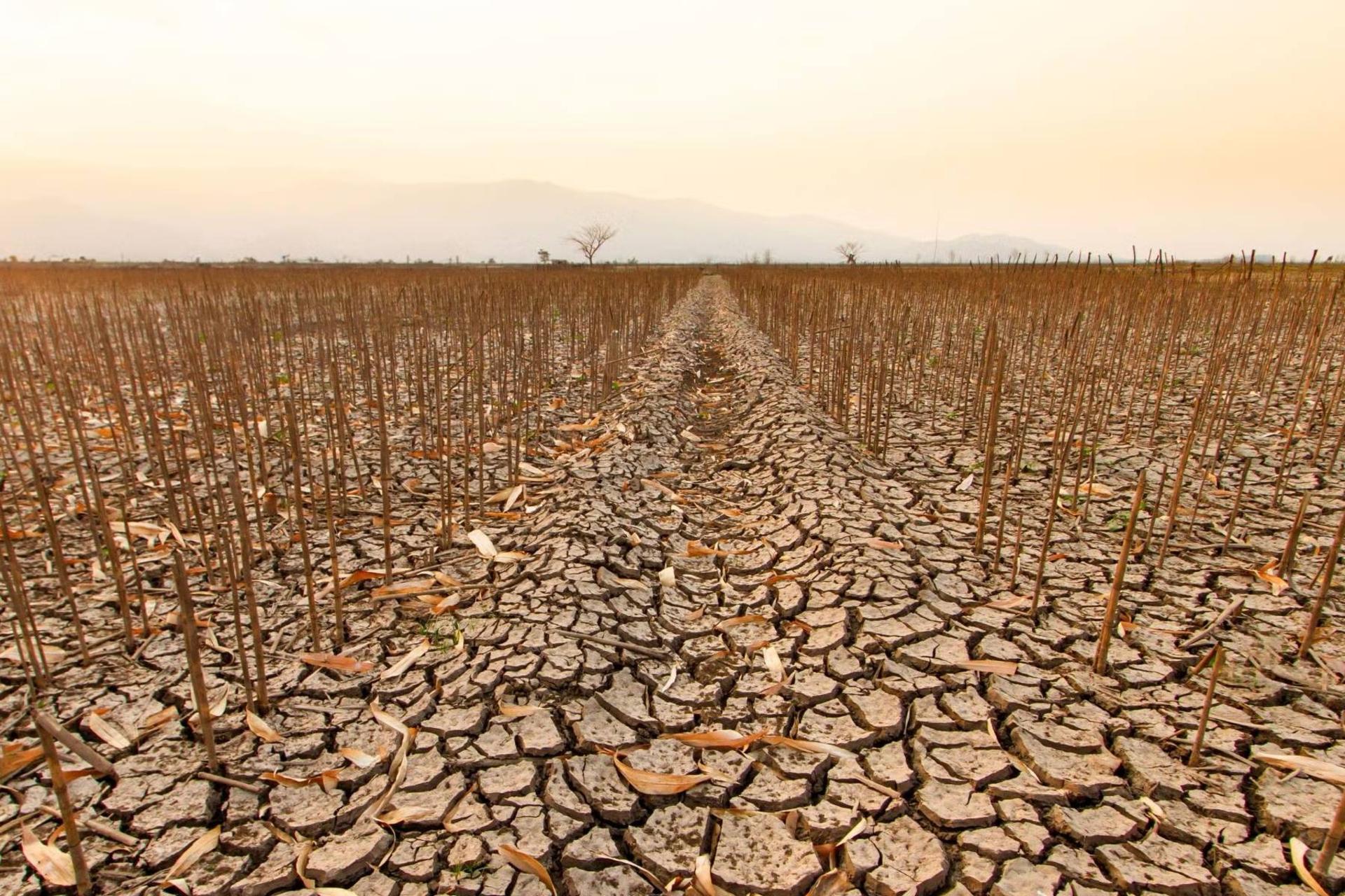 زمین خشک