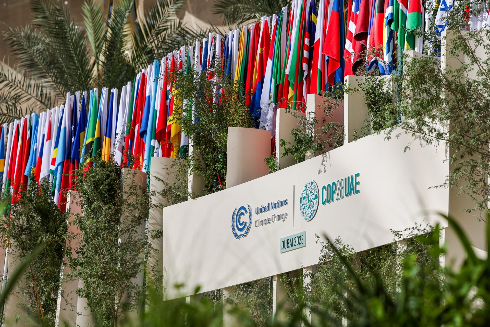 dubai climate conference 657c5dc8eb3279f2c061f374