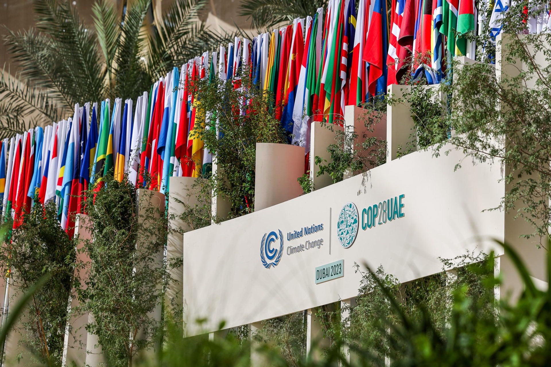 کنفرانس تغییر اقلیم سازمان ملل متحد ۲۰۲۳ دبی